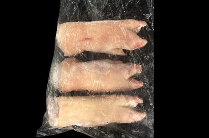 豚_豚足_国産丸豚足